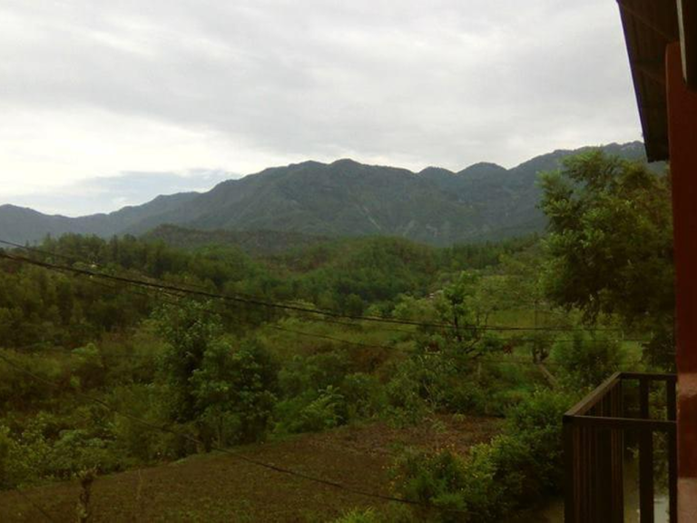 PHOTO-2025-02-28-18-07-10[1]