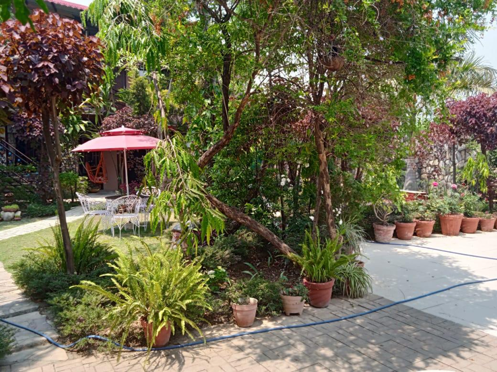 PHOTO-2025-02-28-18-07-10[14]