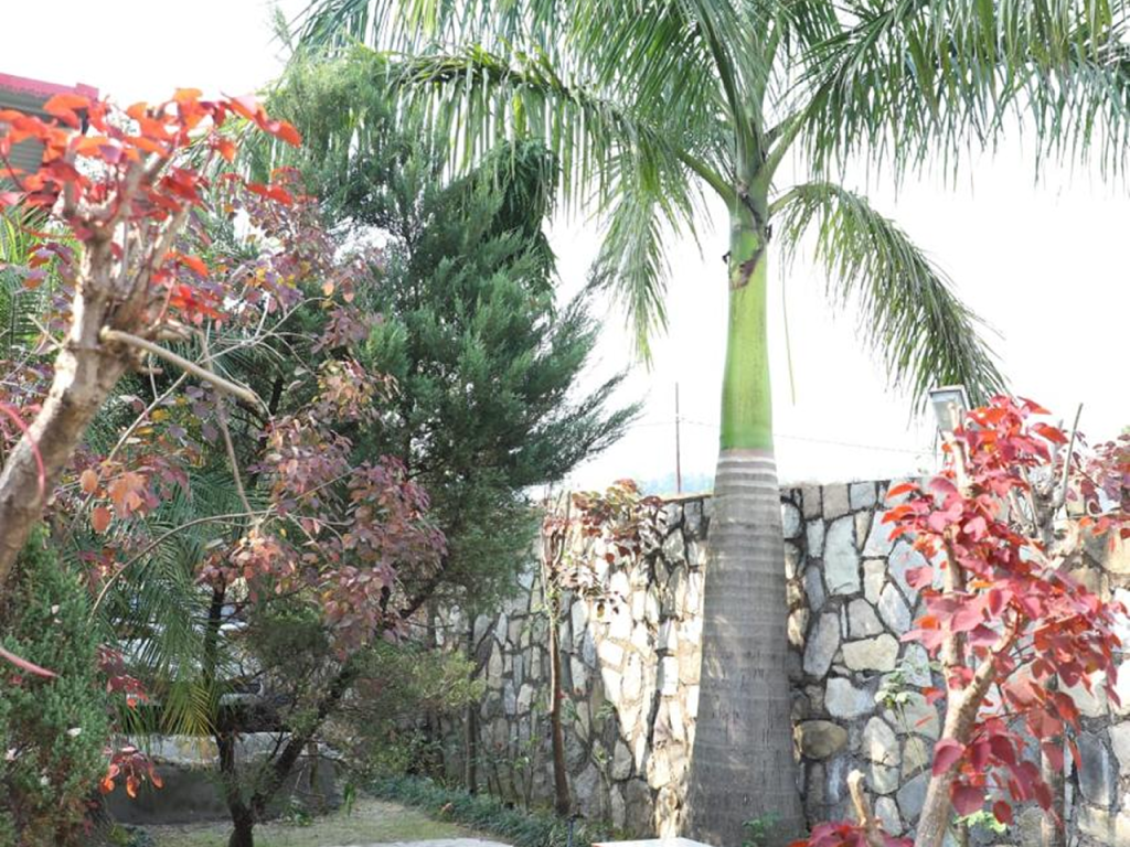 PHOTO-2025-02-28-18-07-10[16]