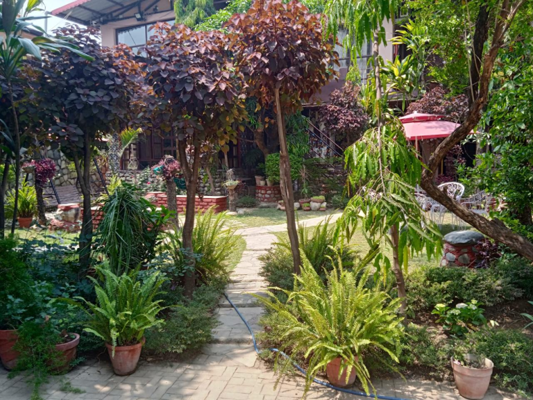 PHOTO-2025-02-28-18-07-10[4]